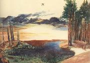 Albrecht Durer, A Pond in the woods
